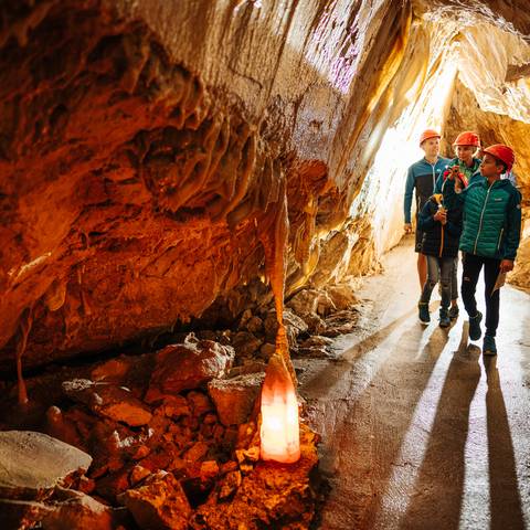 <p>Familienexpedition in die Obir Tropfsteinhöhlen sind ein wahres Wow-Erlebnis. Mit fachkundiger Führung entdeckt man hier Naturwunder, die über die Jahrtausende entstanden sind.</p><p>Ausflugsziel Kärnten Card, Karawanken UNESCO Global Geopark, Gemeinde Bad Eisenkappel</p>