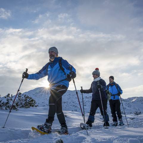 <p>Eine Schneeschuhtour mit den Guides des Karawanken UNESCO Global Geoparks eröffnet dir ganz neue Einblicke. Sie kennen die Karawanken wie ihre Westentasche und haben die ein oder Geschichte für dich auf Lager. </p><p>Petzen, Gemeinde Feistritz ob Bleiburg, Schneeschuhtour, Winter &amp; Schnee, Guide, Geopark, Jänner 2021</p>