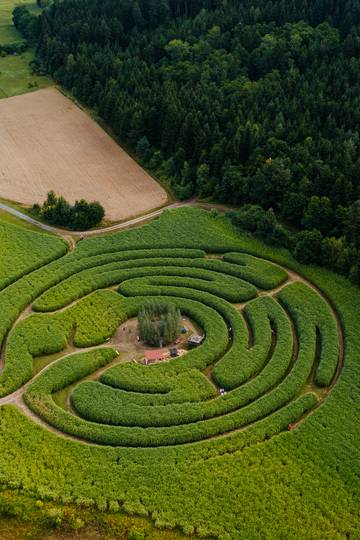 <p>Im Labyrinth im Elefantengras vergisst man die Zeit sehr schnell. Neben dem Labyrinth warten spannende Rätsel, Holzfiguren und vieles mehr. So manche Familie wollte hier gar nicht mehr raus(finden).</p><p>Gemeinde Völkermarkt, Ausflugsziele &amp; Familie, Holzfiguren, Rätselspaß, Familien Ausflugsziel</p>