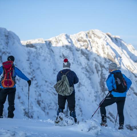 <p>Eine Schneeschuhtour mit den Guides des Karawanken UNESCO Global Geoparks eröffnet dir ganz neue Einblicke. Sie kennen die Karawanken wie ihre Westentasche und haben die ein oder Geschichte für dich auf Lager. </p><p>Petzen, Gemeinde Feistritz ob Bleiburg, Schneeschuhtour, Winter &amp; Schnee, Guide, Geopark, Jänner 2021</p>