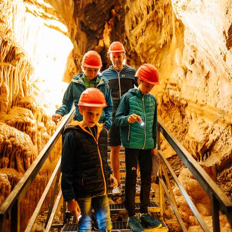 <p>Familienexpedition in die Obir Tropfsteinhöhlen sind ein wahres Wow-Erlebnis. Mit fachkundiger Führung entdeckt man hier Naturwunder, die über die Jahrtausende entstanden sind.</p><p>Ausflugsziel Kärnten Card, Karawanken UNESCO Global Geopark, Gemeinde Bad Eisenkappel</p>