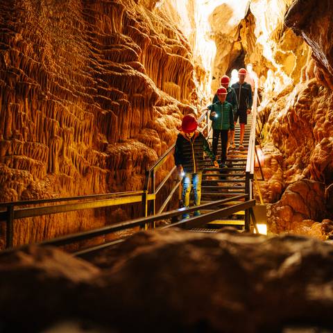<p>Familienexpedition in die Obir Tropfsteinhöhlen sind ein wahres Wow-Erlebnis. Mit fachkundiger Führung entdeckt man hier Naturwunder, die über die Jahrtausende entstanden sind.</p><p>Ausflugsziel Kärnten Card, Karawanken UNESCO Global Geopark, Gemeinde Bad Eisenkappel</p>