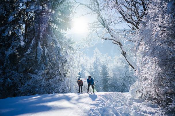 Langlaufen im Hochwinter in der Langlaufarena Pirkdorfer See