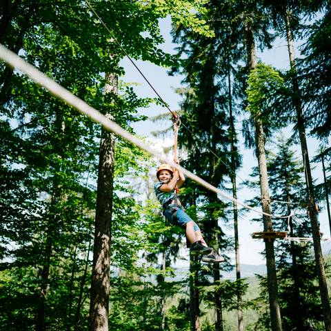 <p>Der Wildensteiner Wasserfall ist Natur- und Familienwunder zugleich. Die kurze Wanderung wird mit einem grandiosen Ausblick auf den 54 m frei herabstürzenden Wasserfall belohnt. Dazwischen wartet der Flying Fox Park mit zahlreichen Seilrutschen, damit das Abenteuer auch nicht zu kurz kommt. Die letzte Belohnung wartet dann wieder am Ausgangspunkt mit einer Einkehr ins dortige Gasthaus.</p><p>Gemeinde Gallizien, Wasserfall, Karawanken UNESCO Global Geopark</p>