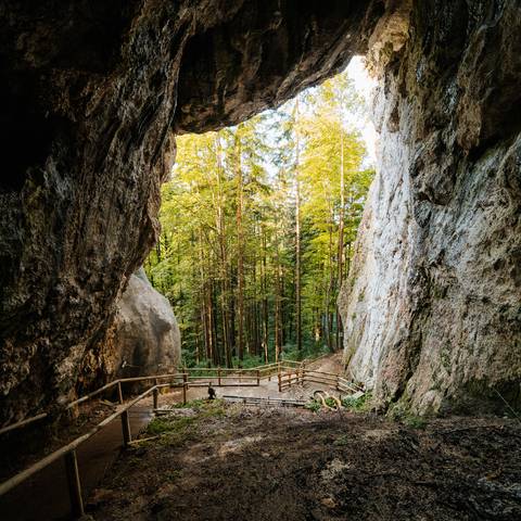 <p>Mit der besten Freundin zum Kraftplatz Hemmaberg und zur Rosaliengrotte zu wandern zahlt sich immer aus. Hier findet man wieder die starke Verbindung, die im hektischen Alltag oft zu schwach ist. Eine Einkehr im Hemmastüberl darf natürlich nicht fehlen. </p><p>Rosaliengrotte</p><p>Hemmaquelle, Kapelle, Kirche, Ausgrabungen, Alte Linde, Hemmastüberl, Gemeinde Globasnitz, Oktober 2020</p>