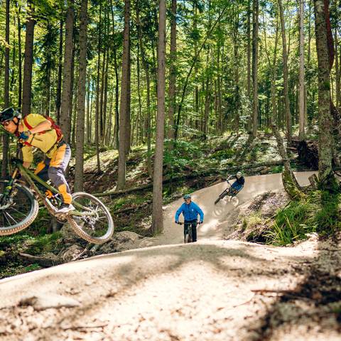 <p>Die MTB ZONE Bikepark Petzen ist ein wahrer Mountainbike Tausendsassa. Vom Anfänger bis zum Profi ist hier alles angerichtet. Die Strecken sind von Diddie Schneider, dem bekannter Streckendesigner gestaltet und tragen den Namen Flow Country Trail, Thriller und EWS Trail (Weltcup Strecke). Hinauf geht es standesgemäß mit den Petzen Bergbahnen</p><p>Gemeinde Feistritz ob Bleiburg, Herbst, Rad&amp;Bike, Downhill, Enduro</p>