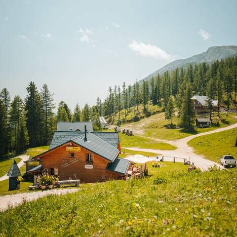 <p>Familienwanderungen auf der Petzen sind die beste Vorbereitung für die ersten großen Touren von kleinen Kindern. Mit der Seilbahn kommt man nämlich ohne langen Anmarsch gleich in die höheren Lagen und gleich drauf los wandern. Die verdiente Einkehr in der Alten Zollhütte darf natürlich nicht fehlen.</p><p>Familienausflug, Gemeinde Feistritz ob Bleiburg, Speichersee, Alten Zollhütte, Hütte</p>