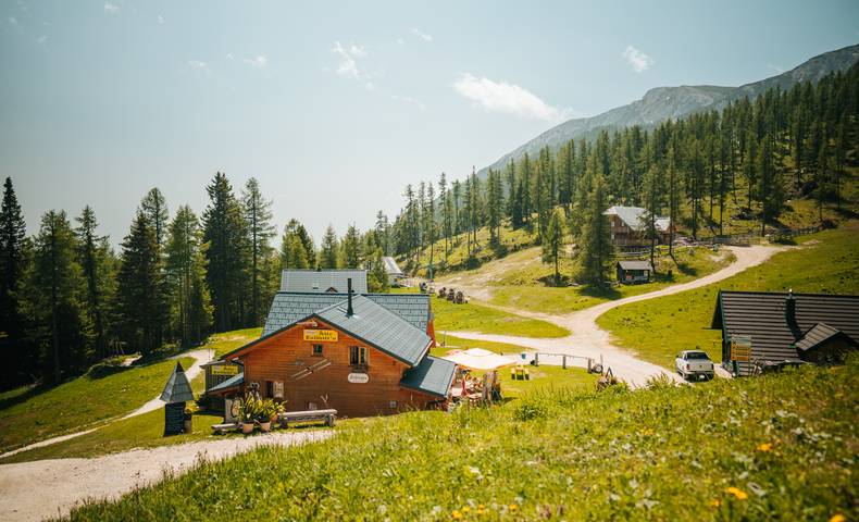 <p>Familienwanderungen auf der Petzen sind die beste Vorbereitung für die ersten großen Touren von kleinen Kindern. Mit der Seilbahn kommt man nämlich ohne langen Anmarsch gleich in die höheren Lagen und gleich drauf los wandern. Die verdiente Einkehr in der Alten Zollhütte darf natürlich nicht fehlen.</p><p>Familienausflug, Gemeinde Feistritz ob Bleiburg, Speichersee, Alten Zollhütte, Hütte</p>