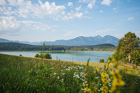 Slow Trail Turnersee