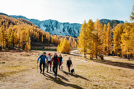Herbst Spezial 