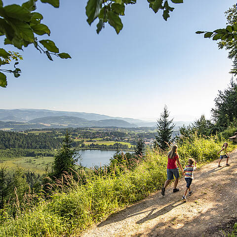 Slow Trail Kitzelberg Klopeiner See c FranzGerdl 65 