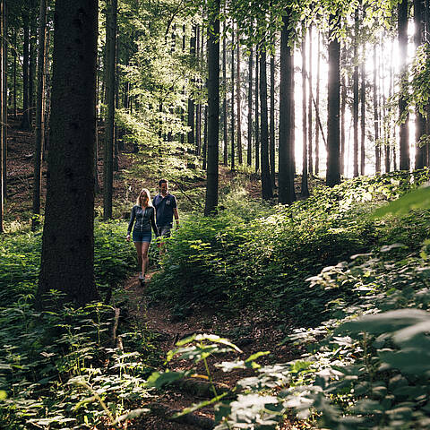 Slow Trail Kitzelberg Klopeiner See Plattform c GERT PERAUER 13 