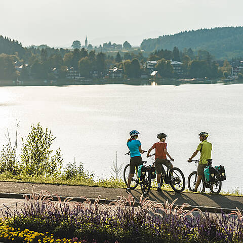 Klopeiner See E Bike Rad Kaernten2018 041 c Uwe Geissler Kaernten Werbung